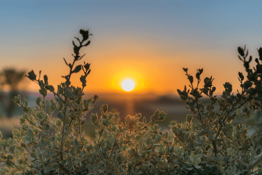 Sunset In south west america