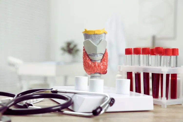 Thyroid Blood Panel