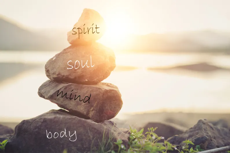 rocks with words on them