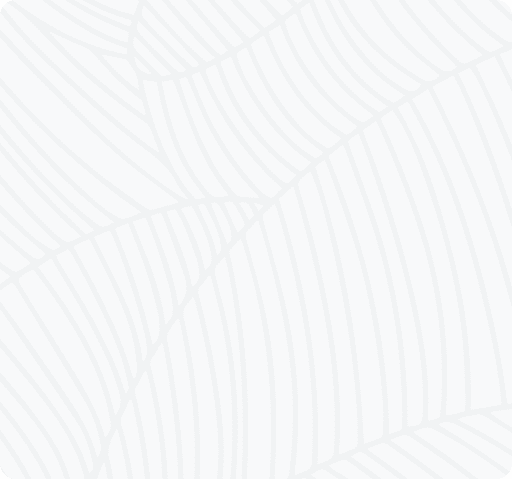 stripes