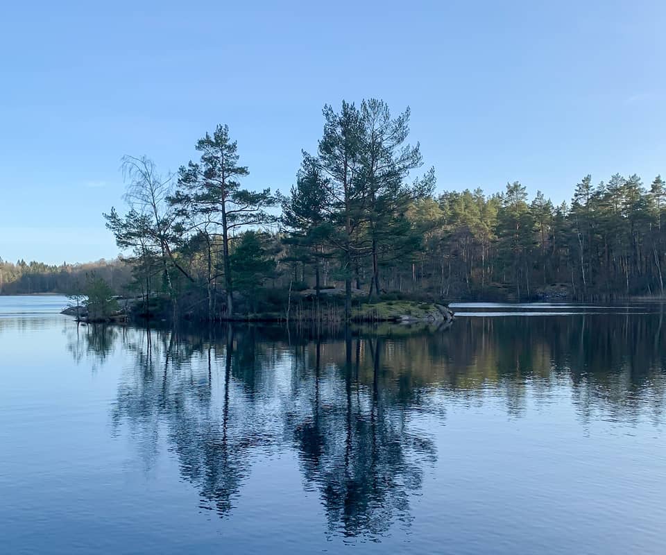 A calm lake surrounded by trees, the setting for MindStream's health retreats
