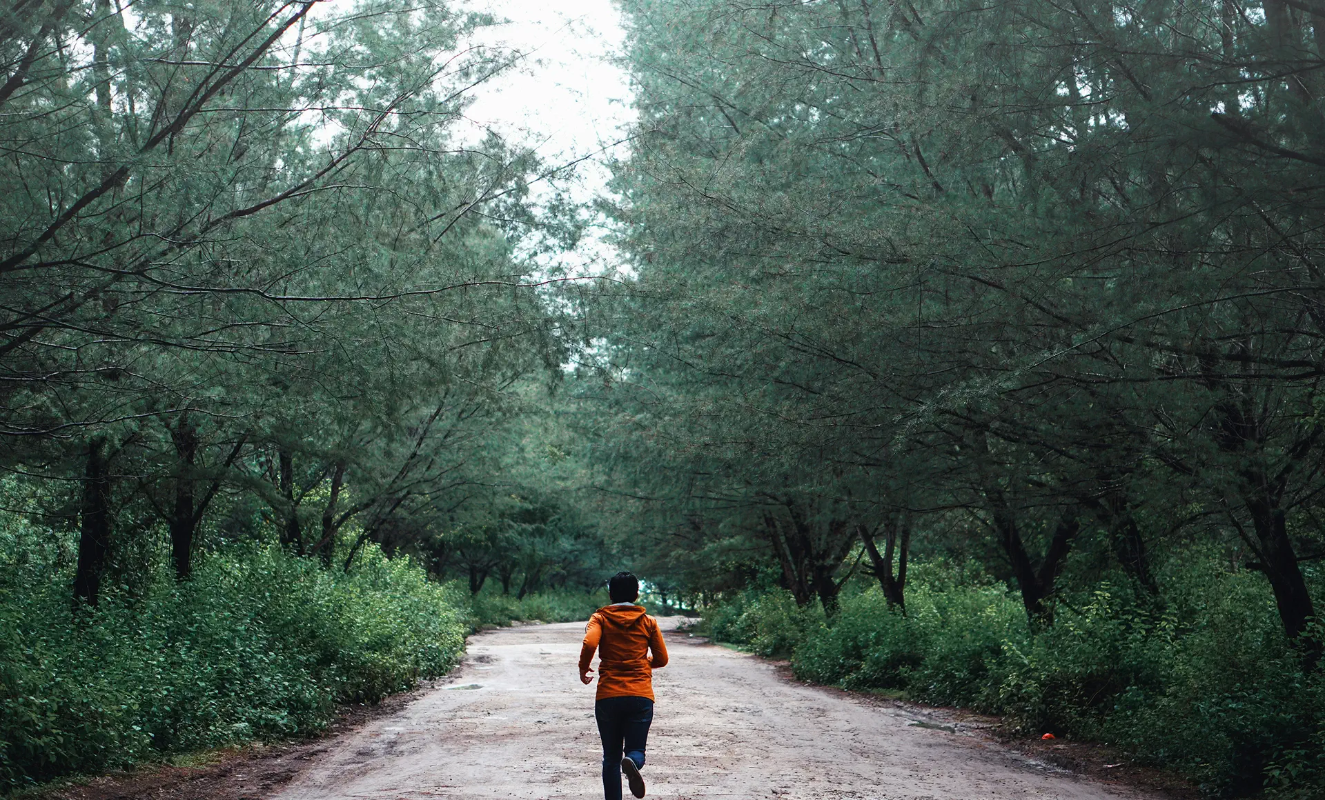 Running on the Greenway