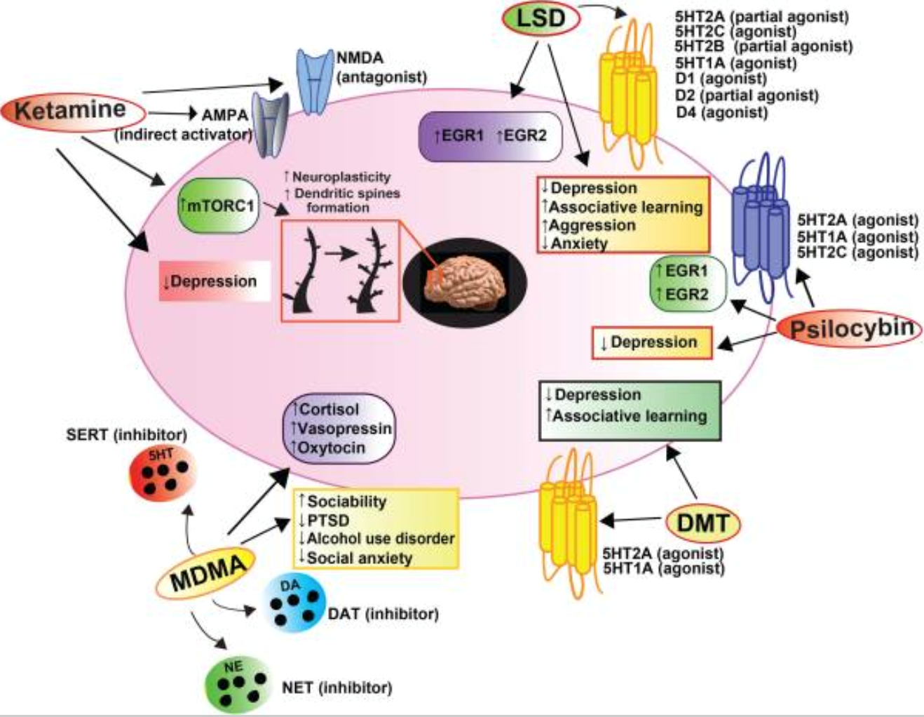 What about those psychedelics? - Mindstream Integrative Medicine